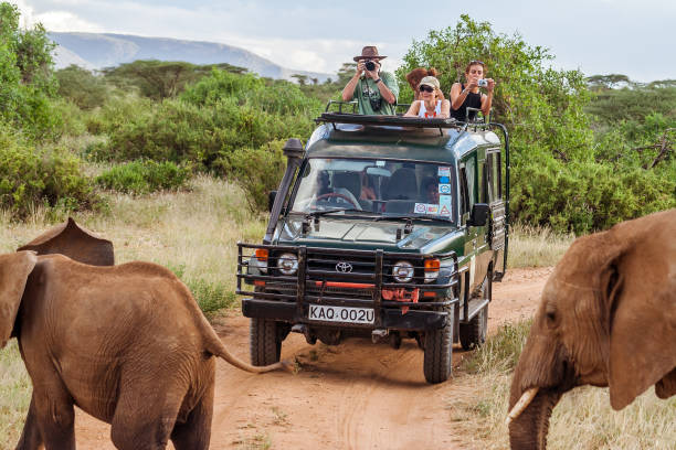 Ethiopian National Parks Safari