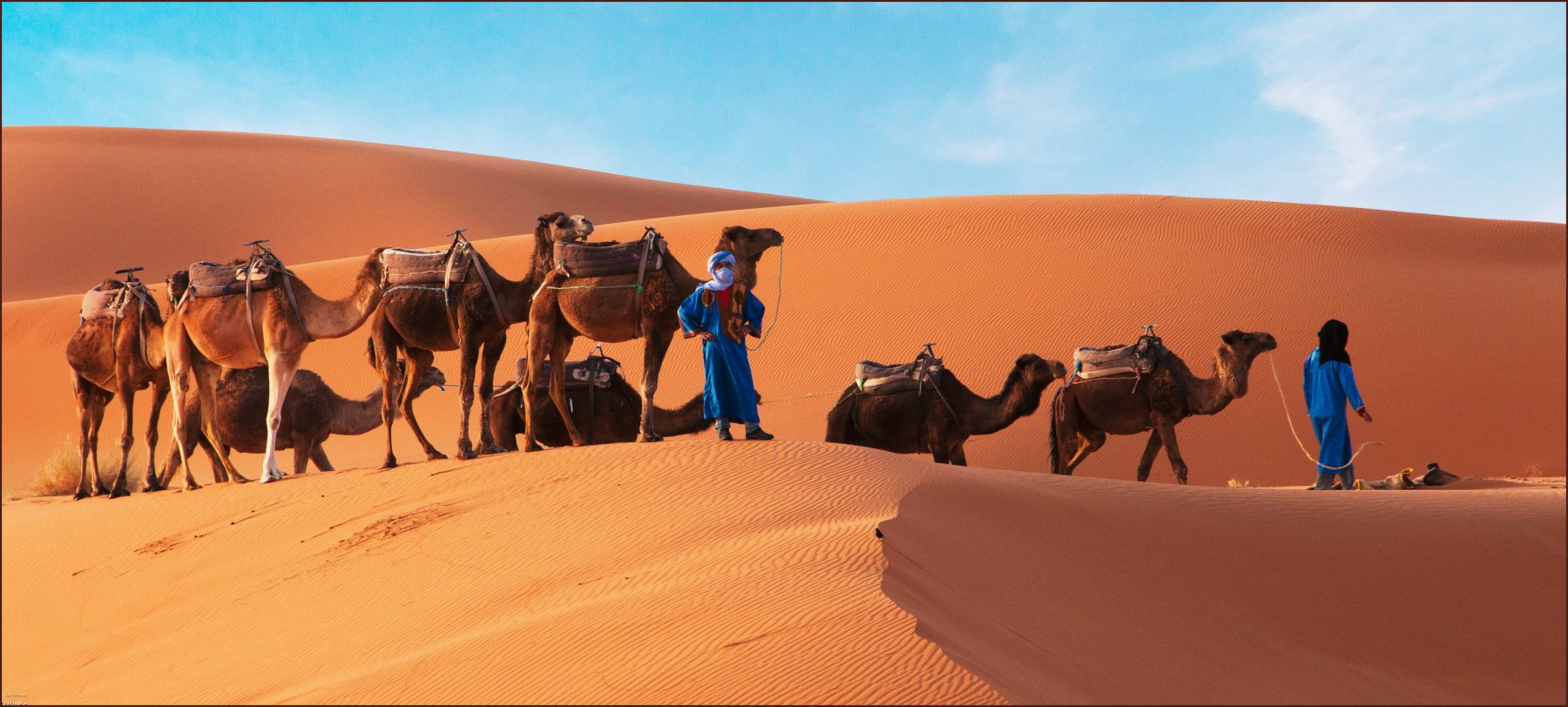 Day 2: Sahara Desert Experience